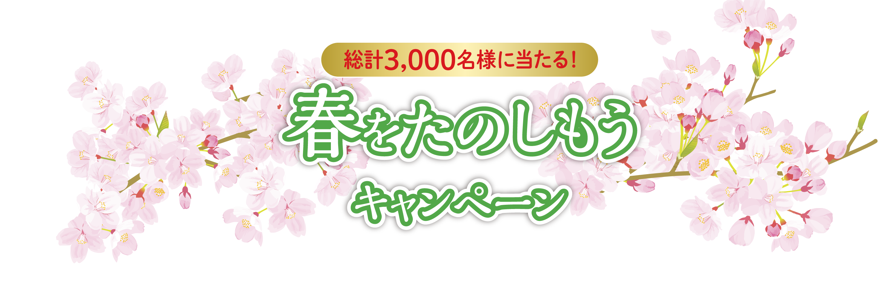みんなで冬を楽しもうキャンペーン