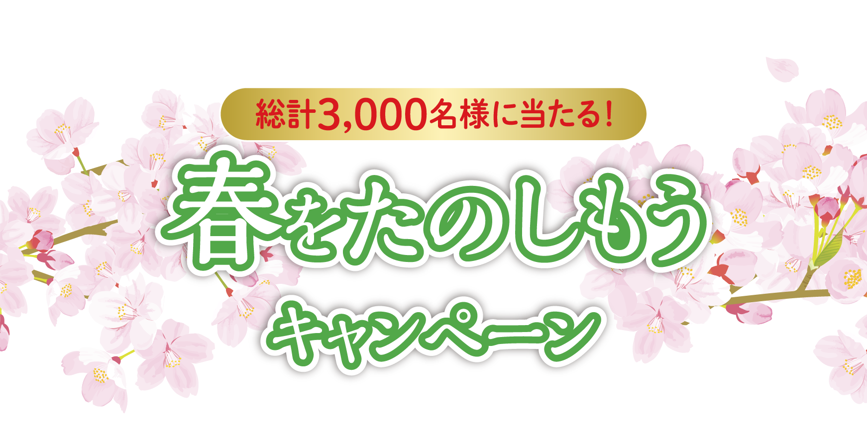 みんなで冬を楽しもうキャンペーン