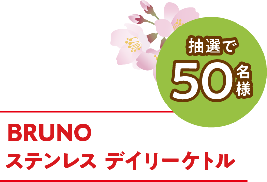 BRUNO ステンレス デイリーケトル