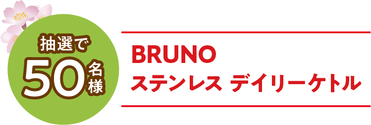 BRUNO ステンレス デイリーケトル