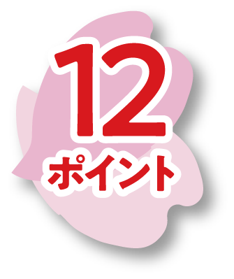 12ポイント